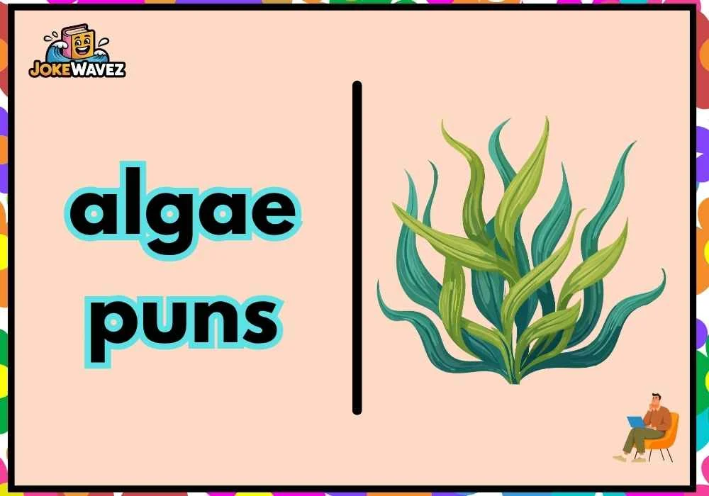 algae puns