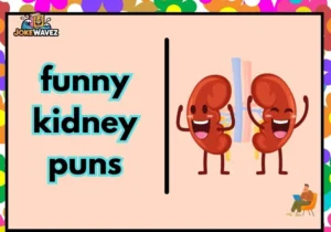 funny kidney puns