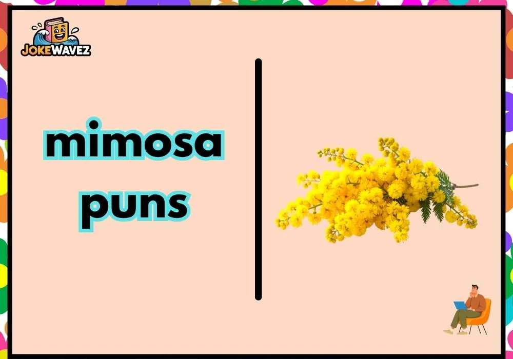 mimosa puns